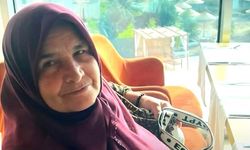 Çorum'da kene kabusu: 64 yaşındaki kadın hayatını kaybetti