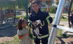 Ağaçta mahsur kaldı, imdadına itfaiye yetişti
