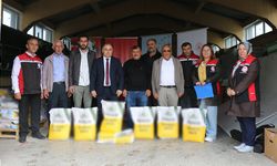 Çorum’da kanola üretimine yüzde 75 hibeli tohum desteği