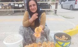 Dağ mantarları pazar tezgahında yerini aldı