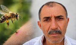 Arı sokması can aldı: 59 yaşındaki Ünal Türk kurtarılamadı