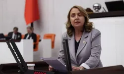 CHP'li Semra Dinçer otizmli çocukların eğitim krizini Meclis gündemine taşıdı