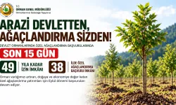 Çorum dâhil 38 ilde kendi ormanını kurmak isteyenlere müjde: Devlet arazileri açılıyor