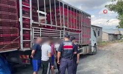 Çorum’un da aralarında bulunduğu 81 ilde dev operasyon: Düzensiz göç denetimi yapıldı