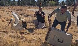 Ölen eşinin başından 5 gün boyunca ayrılmadı!