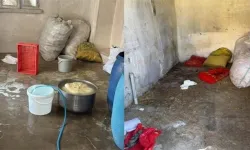 Tuvalet yanında peynir imalatı: Belediye başkanı bile gördüklerine inanamadı