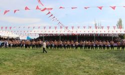 Başpehlivanlar Sungurlu’ya geliyor