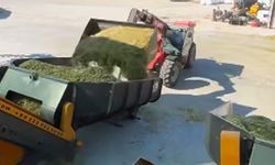 Çorum’da silaj paketleme çalışmaları sürüyor