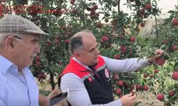 Çorum’da meyvecilik yatırımları yerinde incelendi