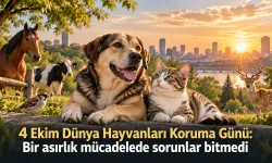 4 Ekim Dünya Hayvanları Koruma Günü: Bir asırlık mücadelede sorunlar bitmedi