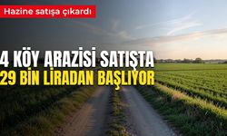 En ucuzu 29 bin, en pahalısı 590 bin lira. Hazine, Çorum'daki 4 arazisini satışta çıkardı