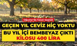 Geçen yıl ceviz hiç yoktu. Bu yıl içi bembeyaz çıktı, kilosu 400 lira