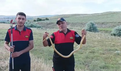 Eve giren yılan paniğe neden oldu