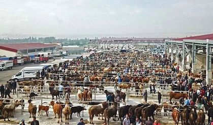 Kurban pazarlarında yoğunluk yaşanıyor