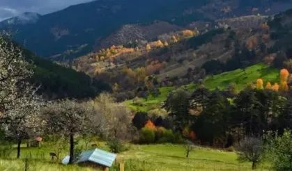 Karadeniz’i aratmayan güzellik: Çorum’un Yaylaları görenleri büyülüyor