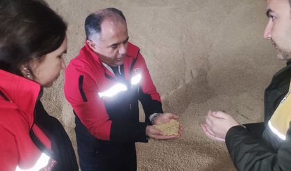 Çorum’da çeltik alımlarında yoğunluk