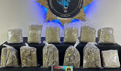 Osmancık’ta 9 kilo 429 gram skunk ele geçirildi