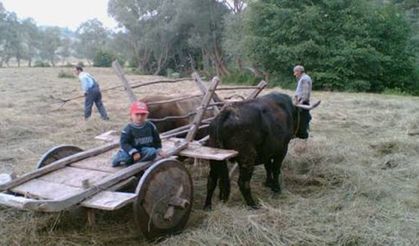 Çorum’da bunlar olmadan hayat dururdu: Miras olarak kaldı