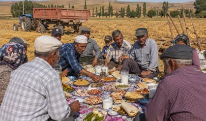 Çorum’da harman zamanı eski geleneklerle yaşatılıyor