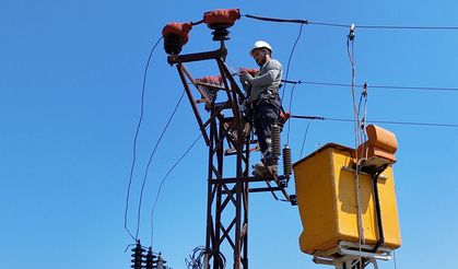 Leylekler için elektrik direklerine yuva, kuşlar için tellere izolasyon