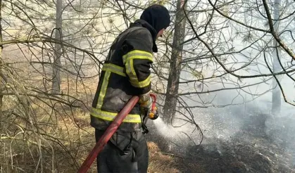 Çorum Dodurga'da çıkan anız yangını meyve ve ceviz bahçelerine sıçradı