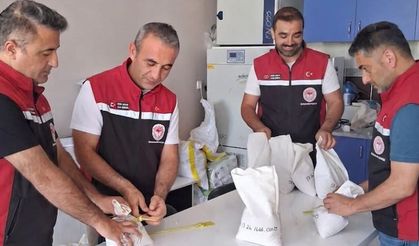 Çorum’da 25 bin ton sertifikalı tohum üretimi bekleniyor