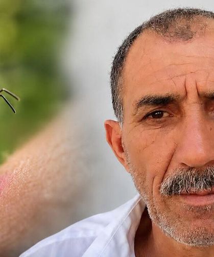 Arı sokması can aldı: 59 yaşındaki Ünal Türk kurtarılamadı
