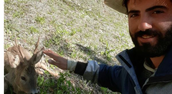 Mantar toplamak için gittiği arazide yaralı karaca yavrusu buldu
