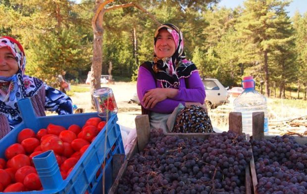 Çorum’dan doğal kareler! Çorum'un gözlerden uzak saklı güzellikleri