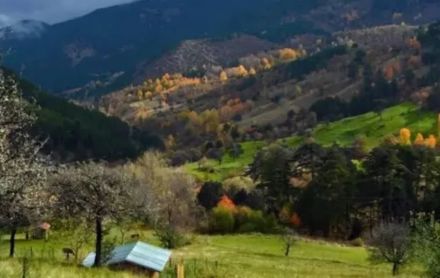 Karadeniz’i aratmayan güzellik: Çorum’un Yaylaları görenleri büyülüyor