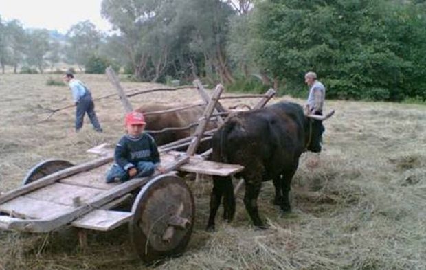 Çorum’da bunlar olmadan hayat dururdu: Miras olarak kaldı
