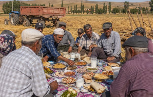 Çorum’da harman zamanı eski geleneklerle yaşatılıyor