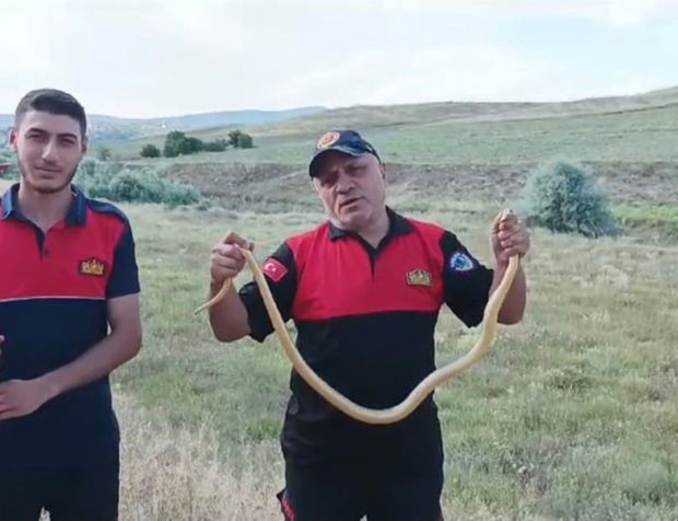 Kur'an kursu bahçesine giren yılanı itfaiye ekipleri yakaladı