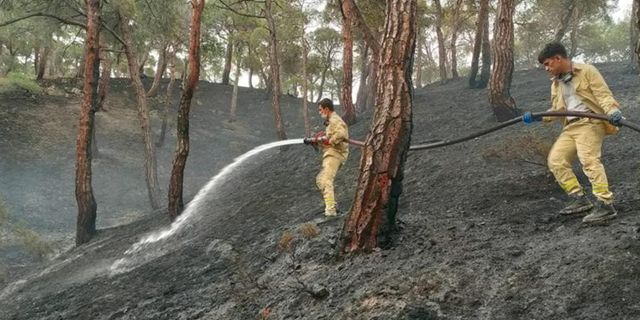 Ormana düşen yıldırım yangın çıkardı