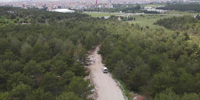 Bahabey Çamlığı, eko-turizm alanı oluyor