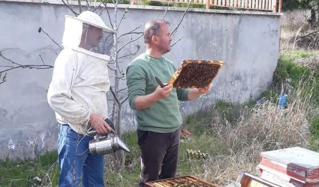 Dodurga'da arıcılık kursu veriliyor