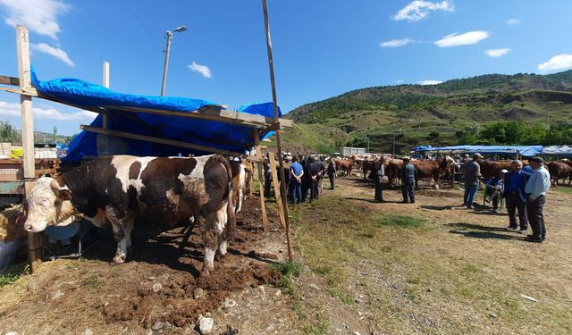 Bayat Hayvan Pazarı şap hastalığından sonra yeniden açıldı