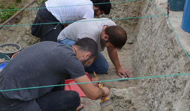 Anadolu'nun 15 milyon yıllık geçmişi Paşalar Fosil Yatağı kazılarında aydınlanıyor