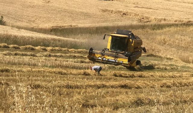 Laçin'de hasat sezonu başladı: Biçerdöver kontrollerine start verildi