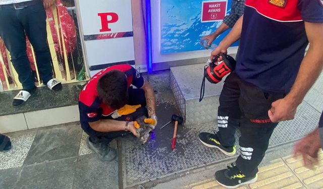 Banka ATM'sine sıkışan yavru kediyi itfaiye kurtardı