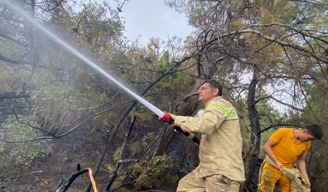 Kargı’nın ateş savaşçıları İzmir’de orman yangınlarına müdahale ediyor!