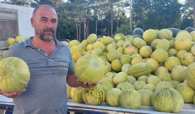 10 Dilim kavun zamanı! Çorum'un en tatlı meyvesi tezgahlarda