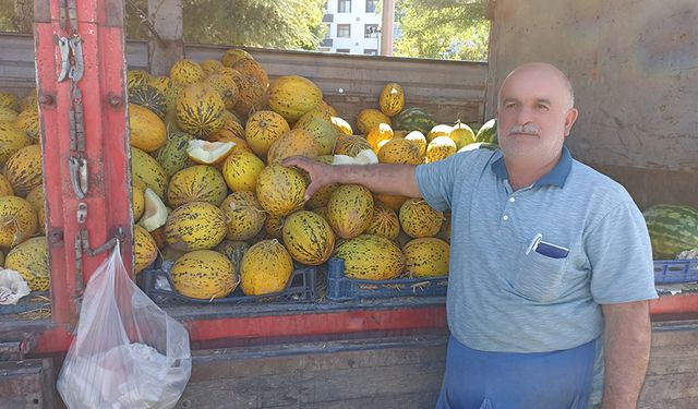 Sungurlu’nun yerli kavun ve karpuzlarına yoğun ilgi