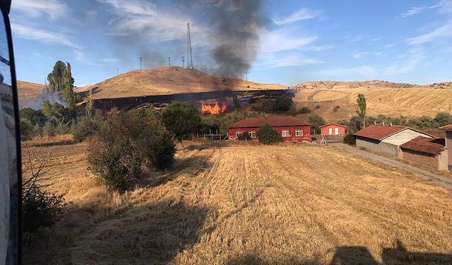 Sungurlu alev alev: İki köyde yüzlerce ağaç kül oldu