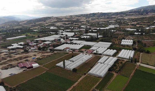 Tokat’ın Küçük Antalya’sı: Seracılıkla göçü durdurdular