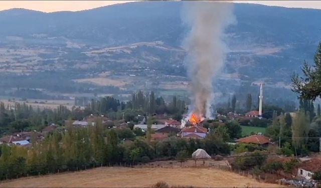 Alevler arasında hayvan kurtarma operasyonu: Çorum'da korkutan yangın!