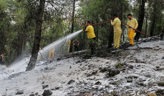 Çorum’da yangın paniği: Ormanlık alanda yangın çıktı