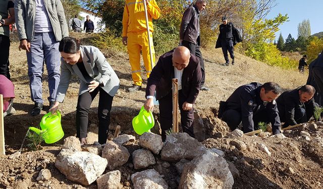 Çorum'un bu ilçesinde Cumhuriyet'in 100'üncü yılında 100 fidan toprakla buluştu