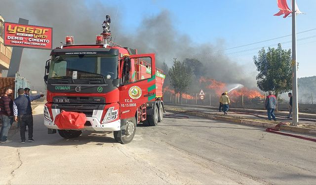 Çorum'da çeltik tarlasında başlayan yangın hurdalığa sıçradı! Onlarca tavuk telef oldu