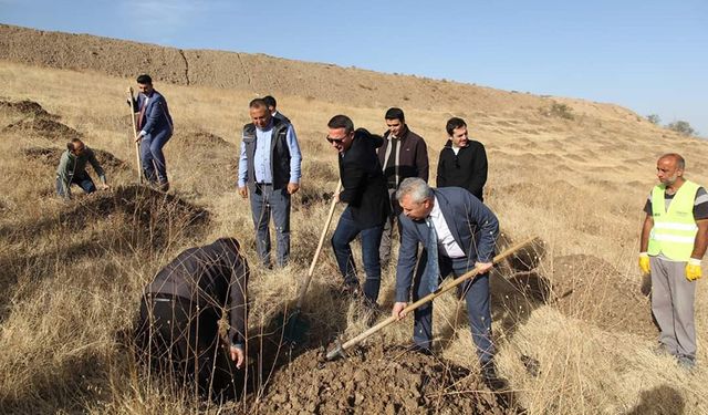 Sungurlu OSB, protokolün yeşil dokunuşuyla canlanıyor